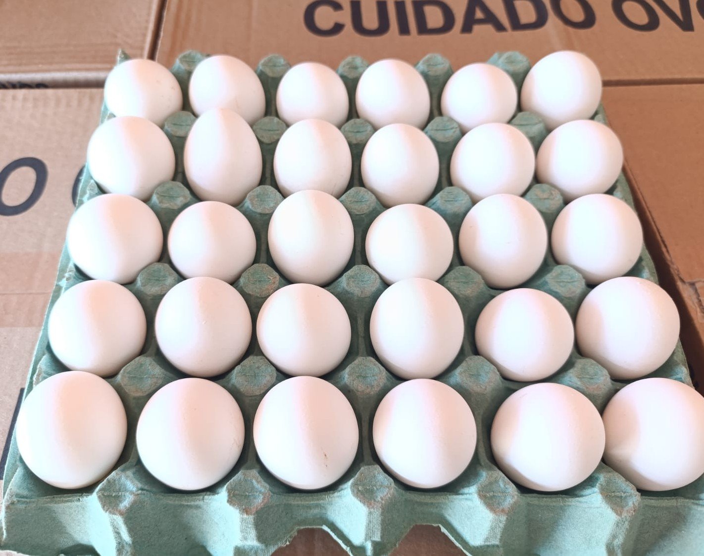 Ovos do tipo 'Grande'